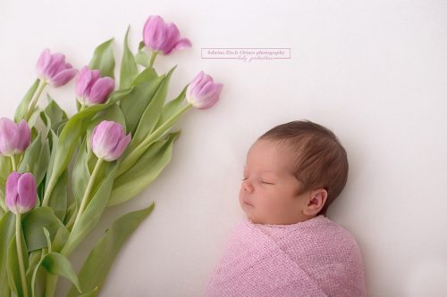 Rosa Tulpen als Accessoire bei einem neugeborenen Fotoshooting dezent in Szene gesetzt