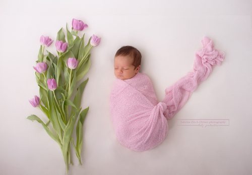 Neugeborene mit einem rosa Wrap umwickelt und für den Frühlingsbeginn frische rosa Tulpen neben sie gelegt