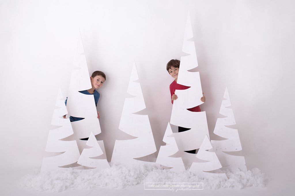 Ein Foto für Weihnachten bei welchem sich die zwei Burschen hinter den selbstgemachten schlichten, aber sehr eleganten in weiß gestrichenen Weihnachtsbäumen verstecken und freudig hervorgrinsen.