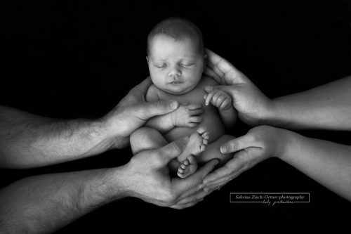 Baby inmitten der beschützenden Hände ihrer Eltern in Schwarz Weiß
