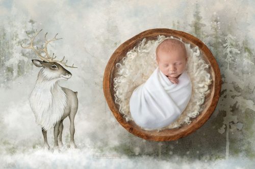 Baby in Schale mit gezeichnetem Rentier Winterbild