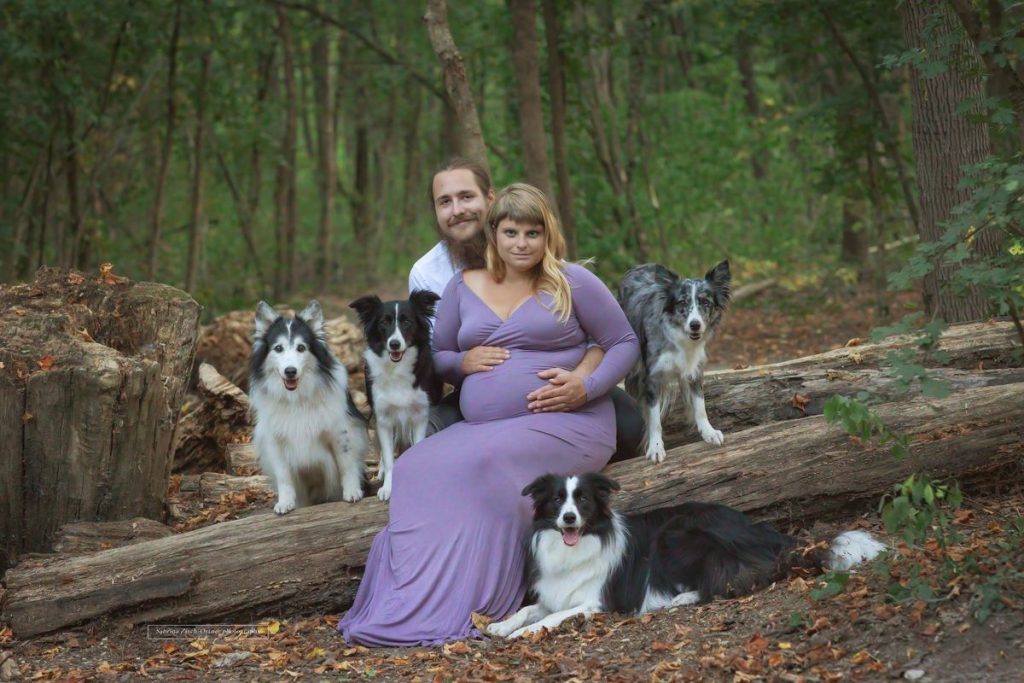 Familie beim Babybauchshooting mit ihren Vier Hunden