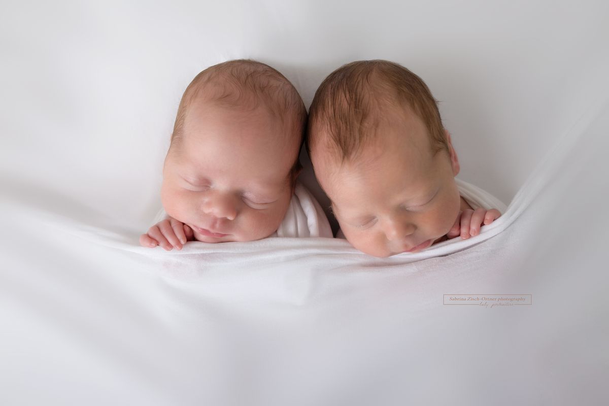 Zwillingsbaby Fotoshooting in Wien bei Zisch-Ortner