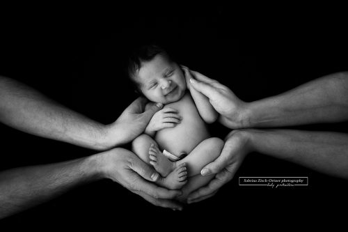 Baby Fotograf und Neugeborenen Fotografin Sabrina Zisch Ortner aus 1220 Wien