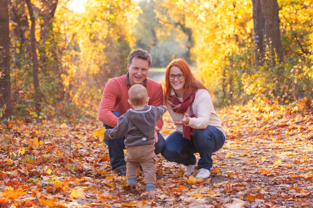 Herbst Familien Fotoshooting mit gelb und rot leuchtenden Blättern