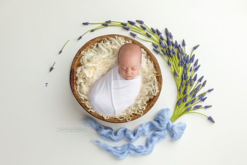 Neugeborenes Baby in Holzschale umgeben von den blauen Blumen namens Rauchfangkehrer