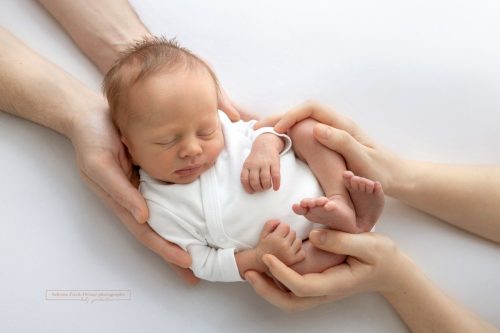 Baby in den Händen von Mama und Papa lifestyle Familien Fotos Fotografen