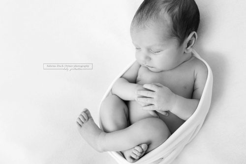newborn Fotoshooting bei Sabrina Zisch-Ortner